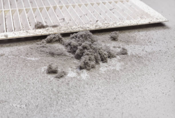 Best Home Air Vent Cleaning  in Roscoe, TX