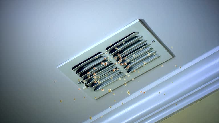 Best Affordable Air Duct Cleaning  in Roscoe, TX